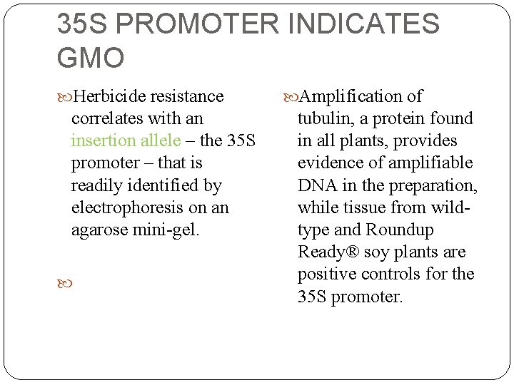 35 S PROMOTER INDICATES GMO Herbicide resistance correlates with an insertion allele – the