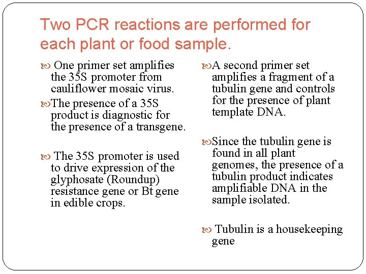 Two PCR reactions are performed for each plant or food sample. One primer set