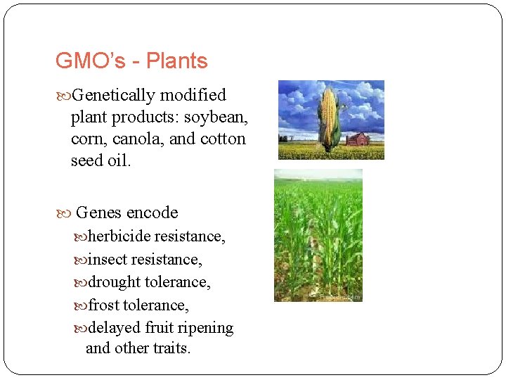 GMO’s - Plants Genetically modified plant products: soybean, corn, canola, and cotton seed oil.