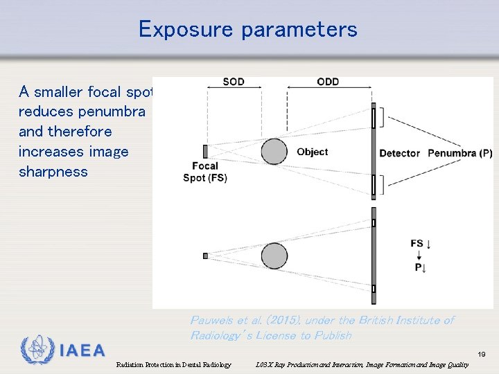 Exposure parameters A smaller focal spot reduces penumbra and therefore increases image sharpness Pauwels