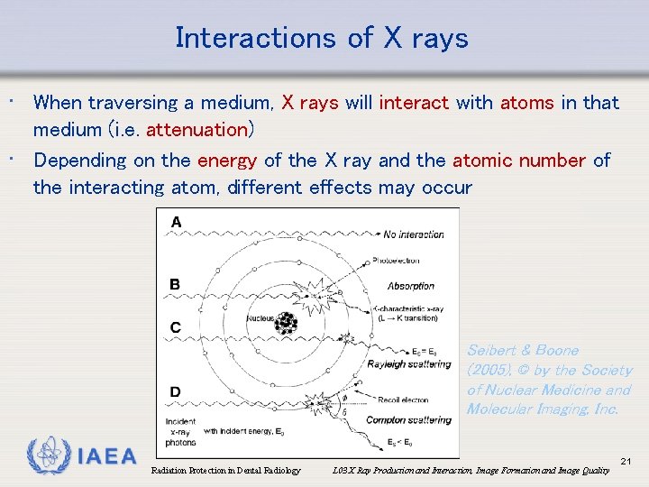 Interactions of X rays • When traversing a medium, X rays will interact with