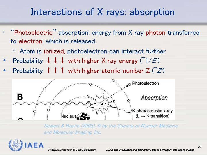 Interactions of X rays: absorption • “Photoelectric” absorption: energy from X ray photon transferred