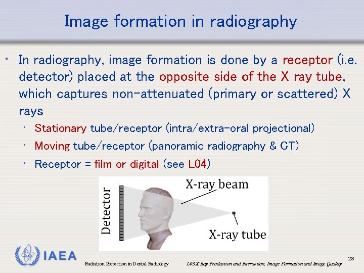 Image formation in radiography • In radiography, image formation is done by a receptor