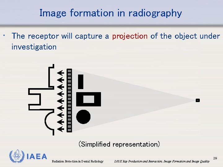 Image formation in radiography • The receptor will capture a projection of the object