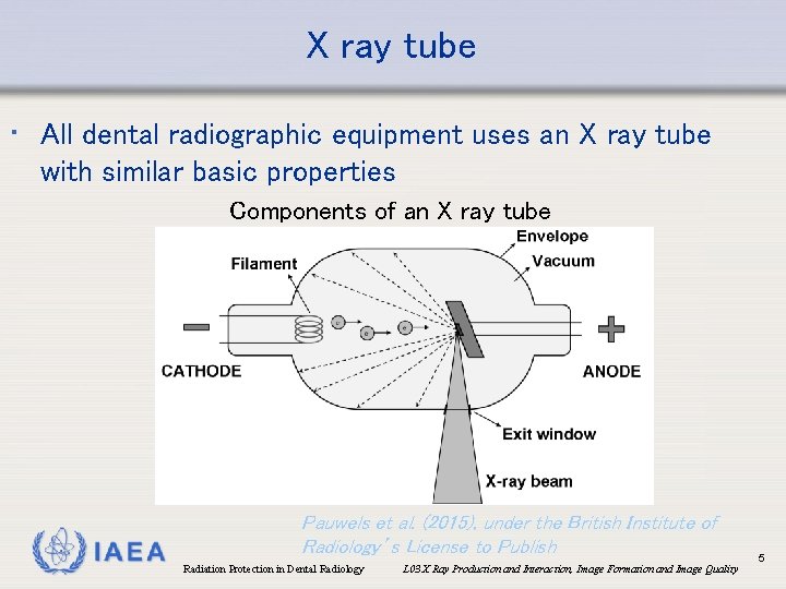 X ray tube • All dental radiographic equipment uses an X ray tube with