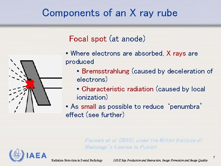 Components of an X ray rube Focal spot (at anode) • Where electrons are
