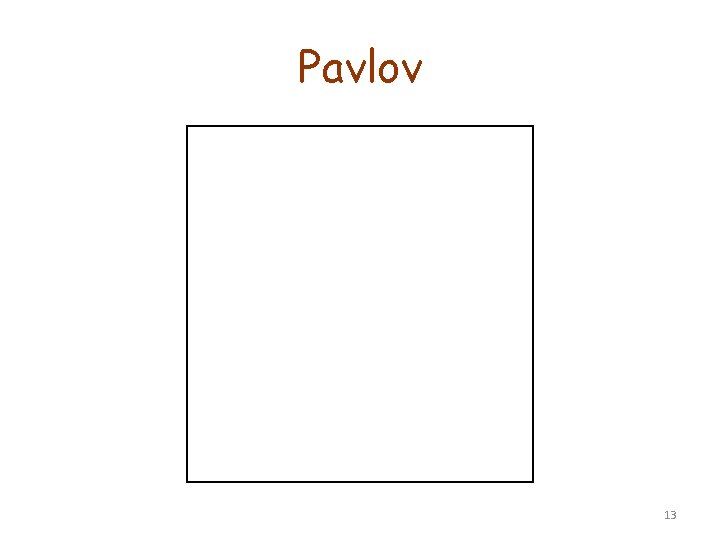 Pavlov 13 Pavlov 13