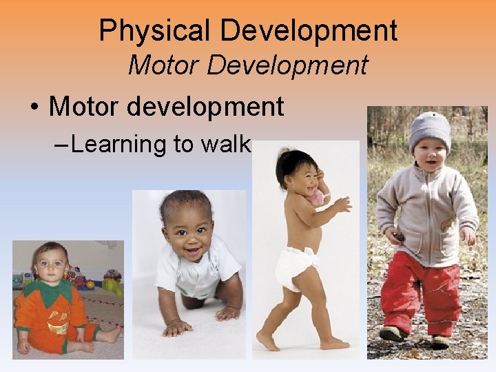 Physical Development Motor Development • Motor development – Learning to walk 