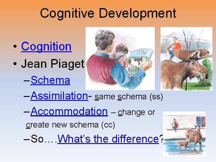 Cognitive Development • Cognition • Jean Piaget – Schema – Assimilation- same schema (ss)