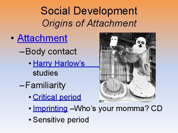 Social Development Origins of Attachment • Attachment – Body contact • Harry Harlow’s studies