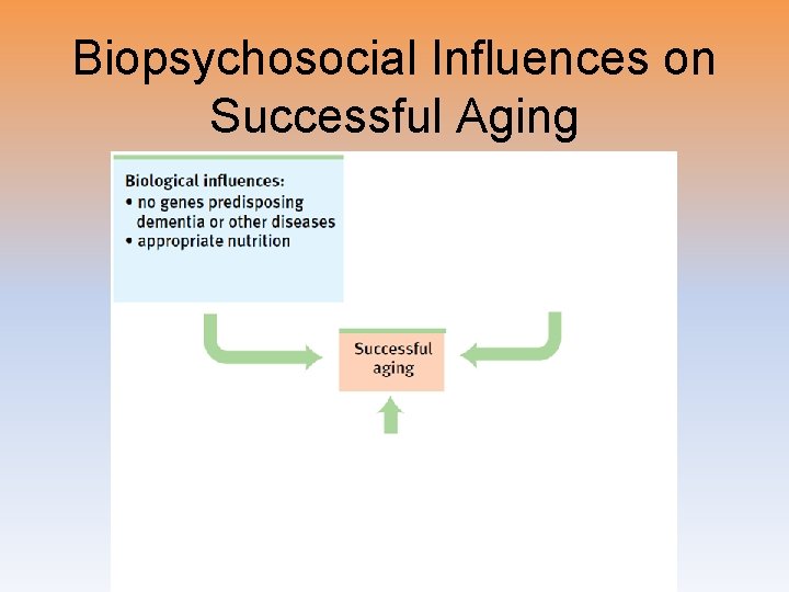 Biopsychosocial Influences on Successful Aging 