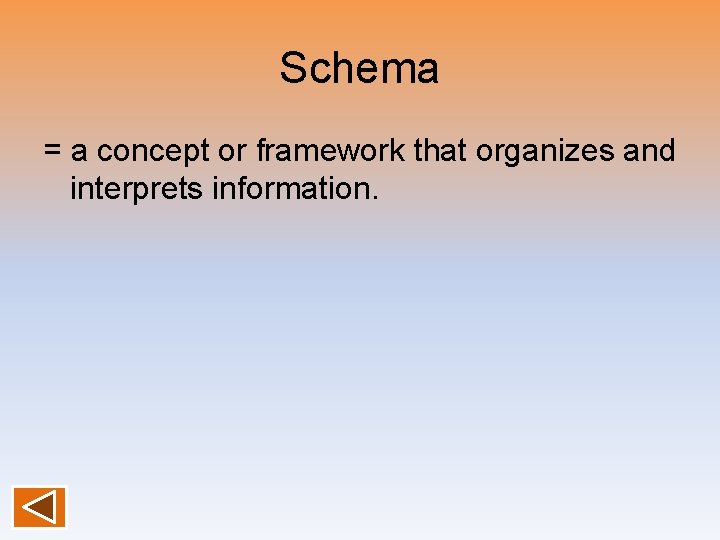 Schema = a concept or framework that organizes and interprets information. 
