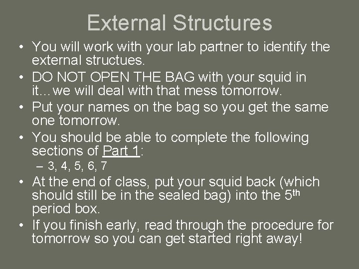 External Structures • You will work with your lab partner to identify the external