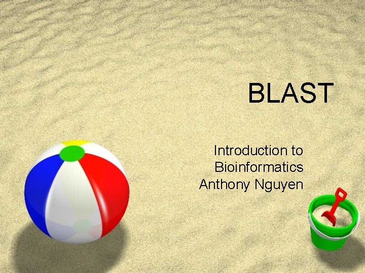 BLAST Introduction to Bioinformatics Anthony Nguyen 