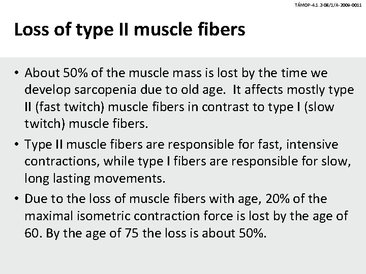 TÁMOP-4. 1. 2 -08/1/A-2009 -0011 Loss of type II muscle fibers • About 50%