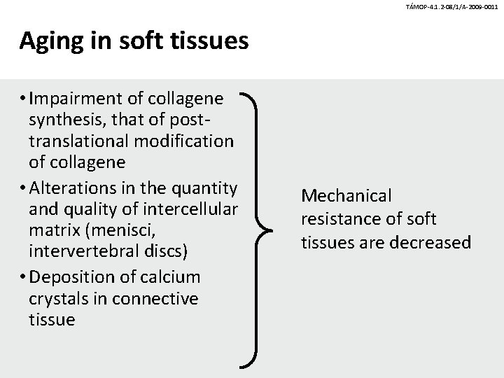 TÁMOP-4. 1. 2 -08/1/A-2009 -0011 Aging in soft tissues • Impairment of collagene synthesis,