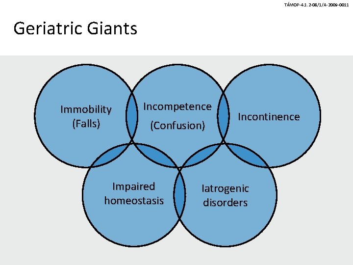 TÁMOP-4. 1. 2 -08/1/A-2009 -0011 Geriatric Giants Immobility (Falls) Incompetence (Confusion) Impaired homeostasis Incontinence