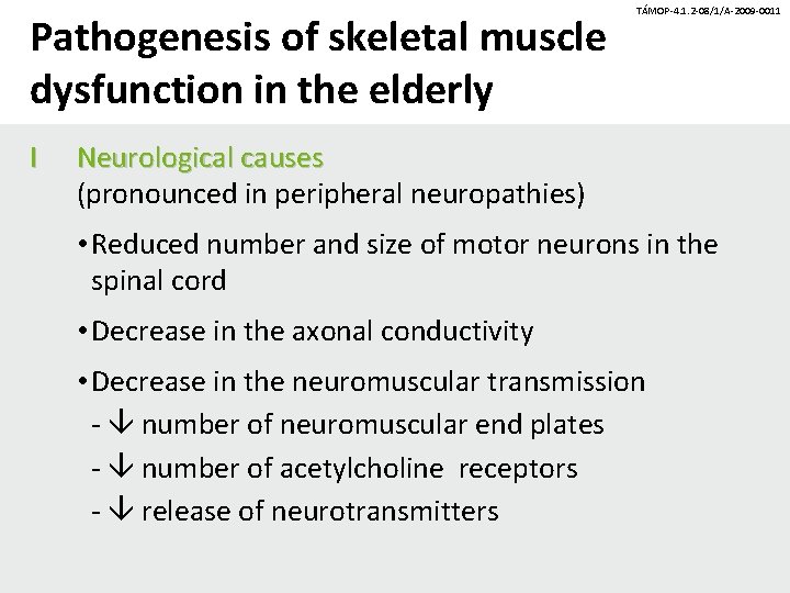 Pathogenesis of skeletal muscle dysfunction in the elderly I TÁMOP-4. 1. 2 -08/1/A-2009 -0011