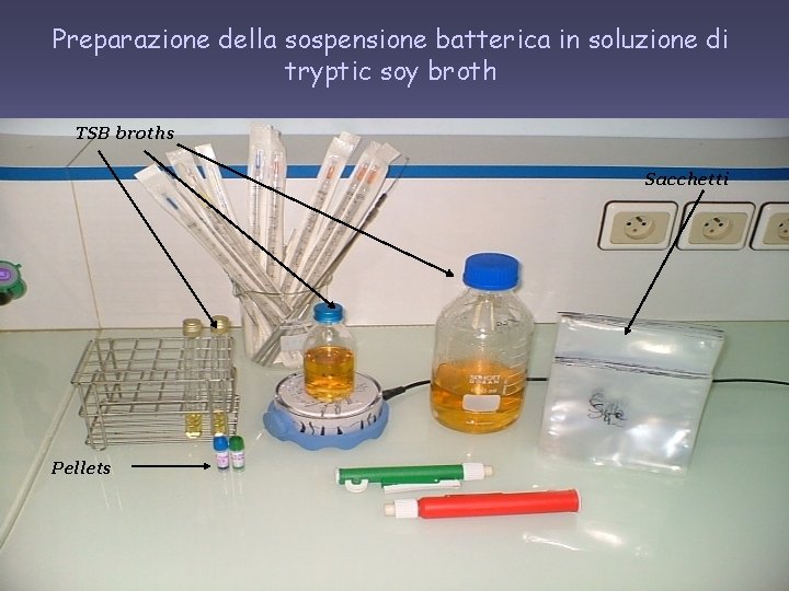 Preparazione della sospensione batterica in soluzione di tryptic soy broth TSB broths Sacchetti Pellets Preparazione della sospensione batterica in soluzione di tryptic soy broth TSB broths Sacchetti Pellets