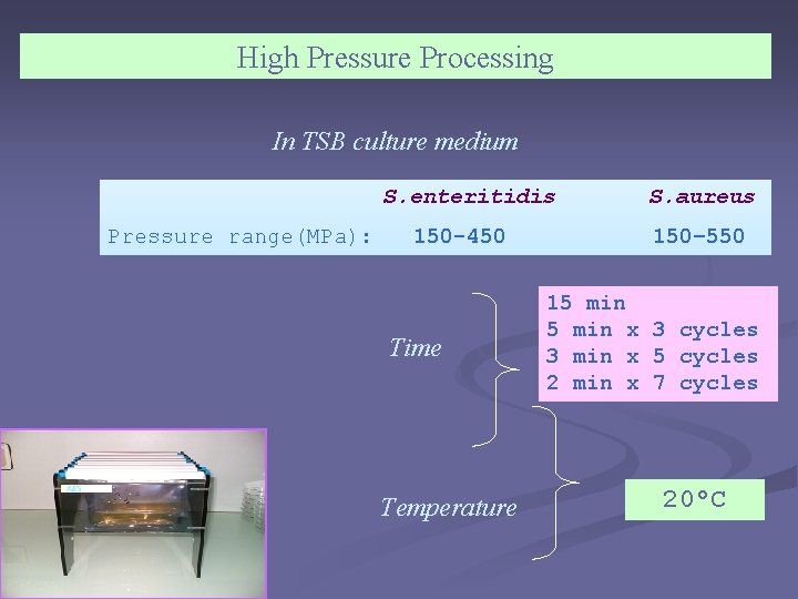 High Pressure Processing In TSB culture medium S. enteritidis Pressure range(MPa): 150 -450 Time