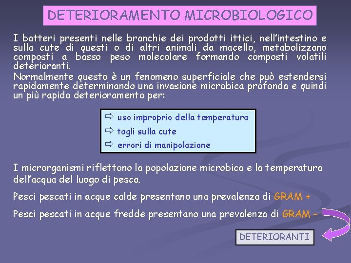 DETERIORAMENTO MICROBIOLOGICO I batteri presenti nelle branchie dei prodotti ittici, nell’intestino e sulla cute