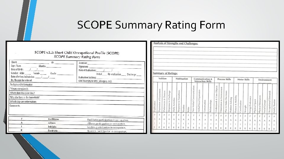 SCOPE Summary Rating Form 