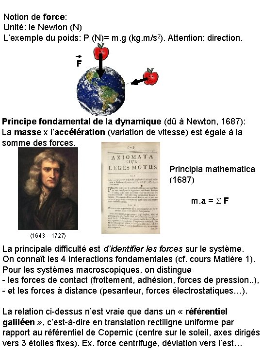 Notion de force: Unité: le Newton (N) L’exemple du poids: P (N)= m. g