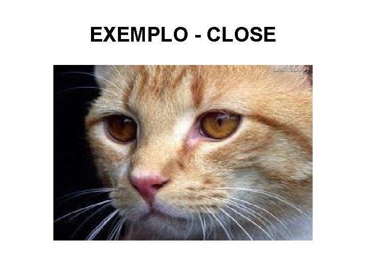 EXEMPLO - CLOSE 