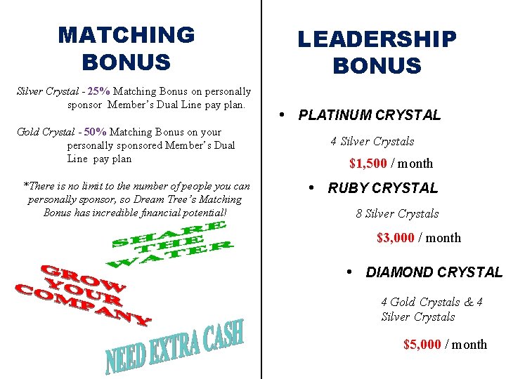 MATCHING BONUS Silver Crystal - 25% Matching Bonus on personally sponsor Member’s Dual Line