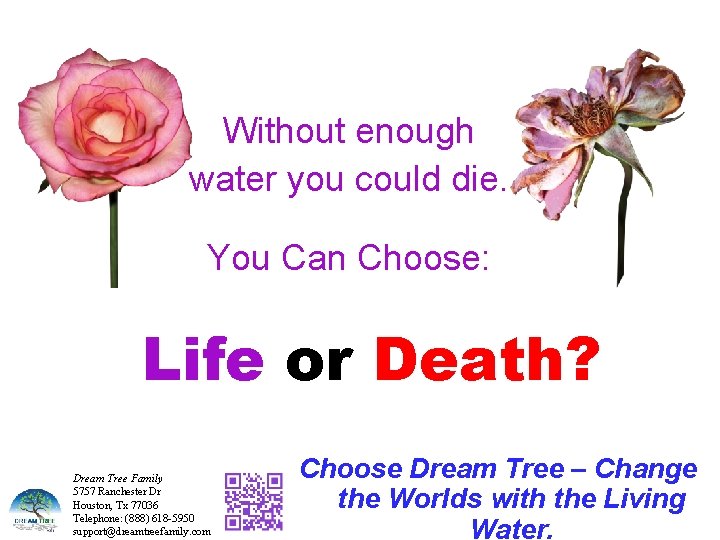 Without enough water you could die. You Can Choose: Life or Death? Choose Dream
