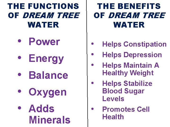 THE FUNCTIONS OF DREAM TREE WATER • • • Power Energy Balance Oxygen Adds