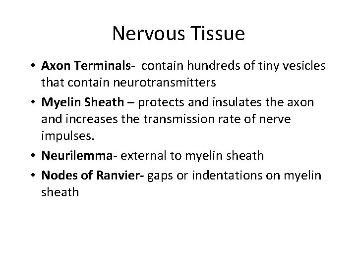 Nervous Tissue • Axon Terminals- contain hundreds of tiny vesicles that contain neurotransmitters •