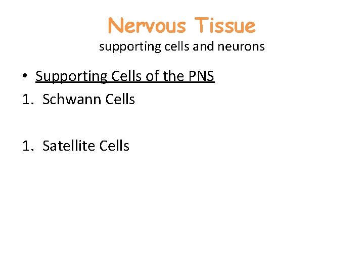 Nervous Tissue supporting cells and neurons • Supporting Cells of the PNS 1. Schwann