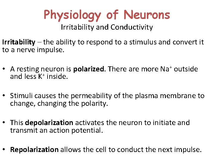 Physiology of Neurons Irritability and Conductivity Irritability – the ability to respond to a