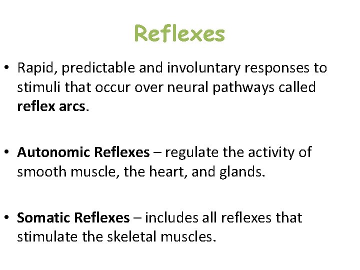 Reflexes • Rapid, predictable and involuntary responses to stimuli that occur over neural pathways