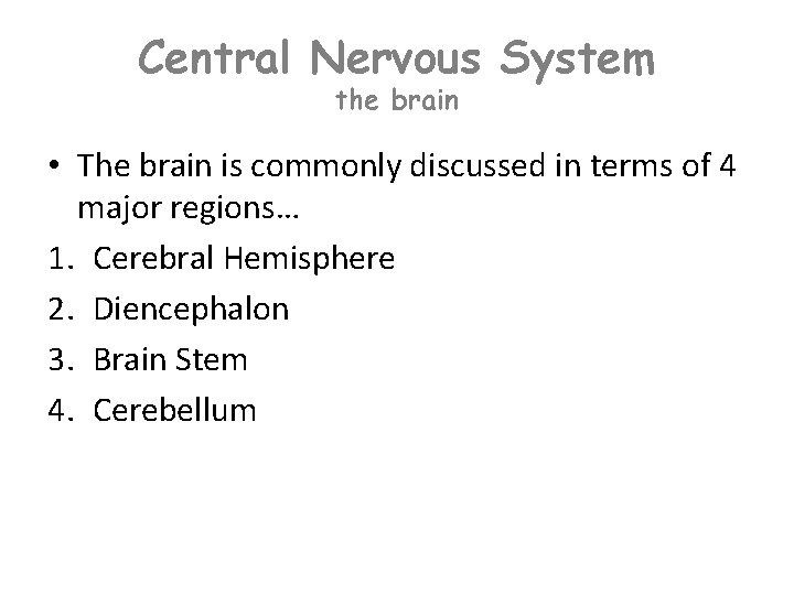 Central Nervous System the brain • The brain is commonly discussed in terms of