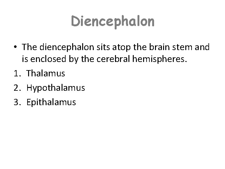 Diencephalon • The diencephalon sits atop the brain stem and is enclosed by the