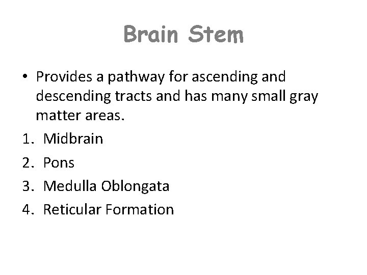 Brain Stem • Provides a pathway for ascending and descending tracts and has many