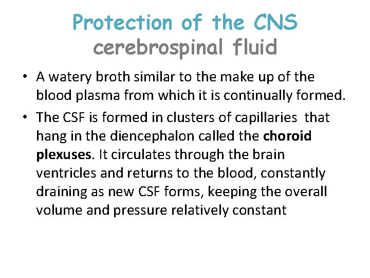 Protection of the CNS cerebrospinal fluid • A watery broth similar to the make