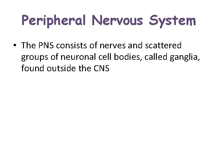 Peripheral Nervous System • The PNS consists of nerves and scattered groups of neuronal