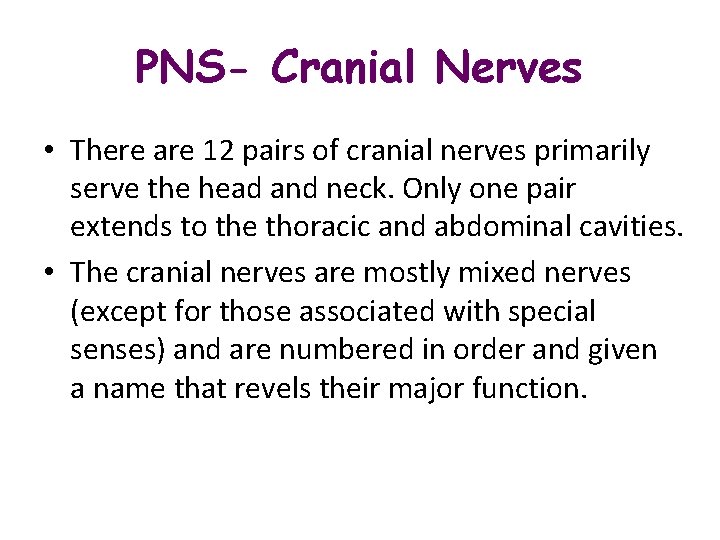 PNS- Cranial Nerves • There are 12 pairs of cranial nerves primarily serve the