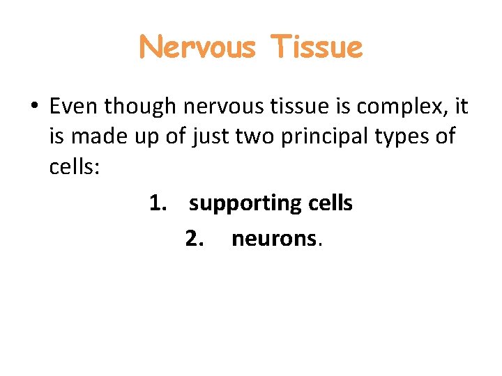 Nervous Tissue • Even though nervous tissue is complex, it is made up of