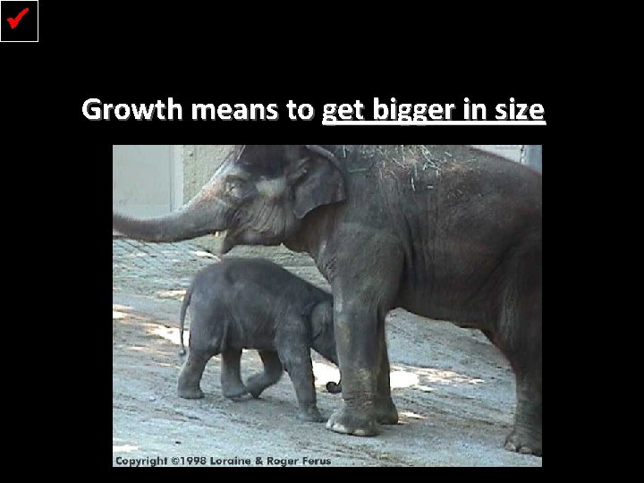  Growth means to get bigger in size 