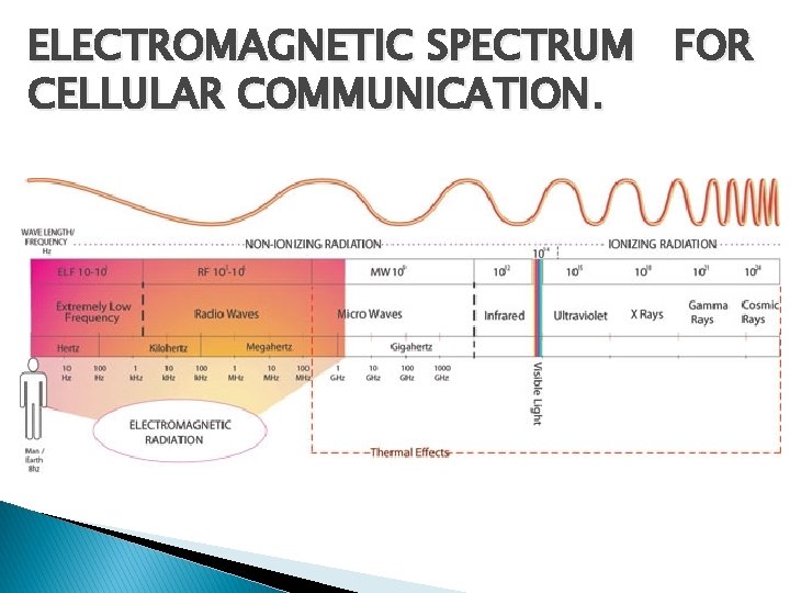 ELECTROMAGNETIC SPECTRUM FOR CELLULAR COMMUNICATION. 