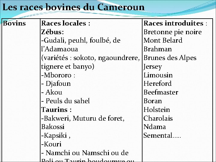 Les races bovines du Cameroun Bovins Races locales : Races introduites : Zébus: Bretonne