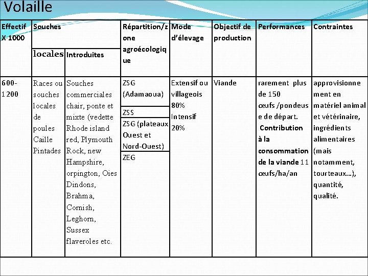 Volaille Effectif Souches X 1000 locales Introduites 6001200 Races ou souches locales de poules