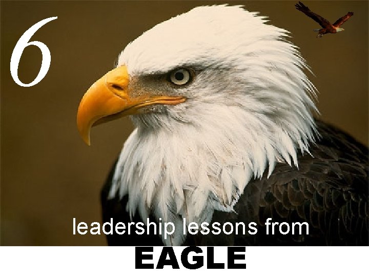 6 leadership lessons from EAGLE 