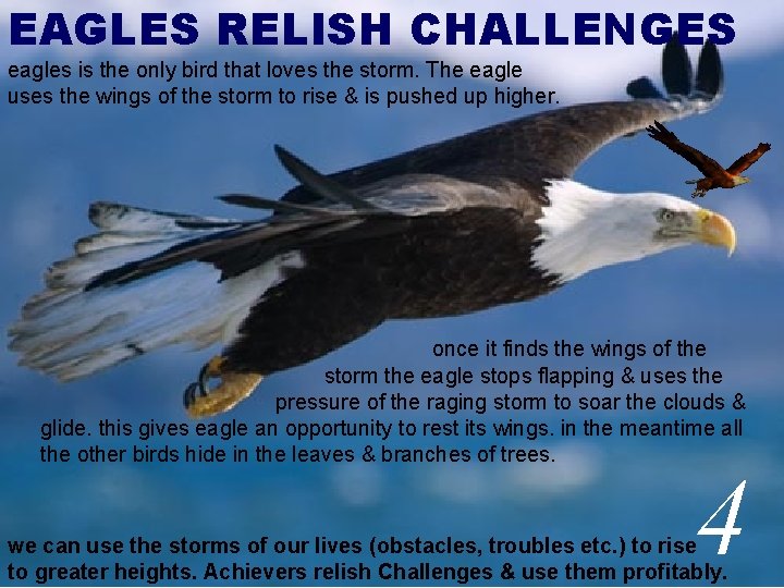 EAGLES RELISH CHALLENGES eagles is the only bird that loves the storm. The eagle
