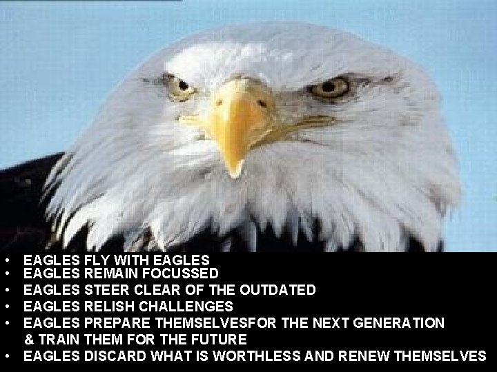  • • • EAGLES FLY WITH EAGLES REMAIN FOCUSSED EAGLES STEER CLEAR OF