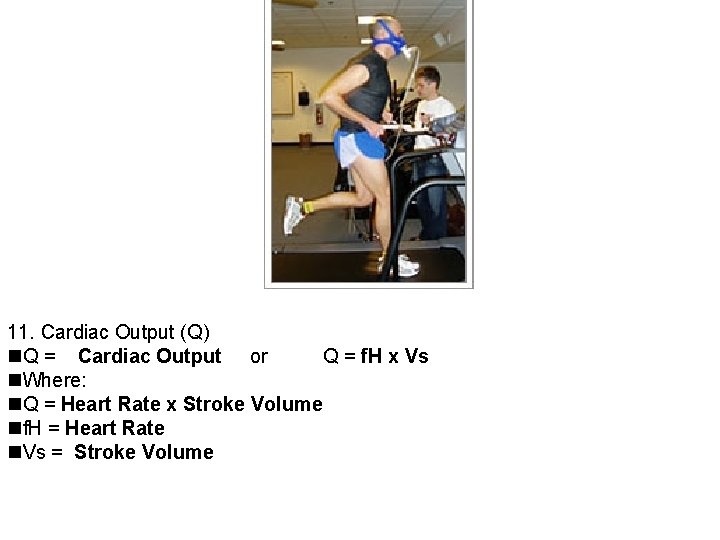 11. Cardiac Output (Q) Q = Cardiac Output or Q = f. H x